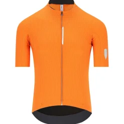 - Dottore Pro Jerey - Radtrikot < Q36.5 Sale