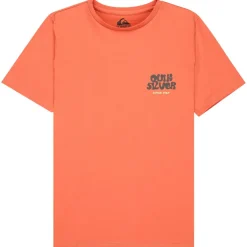 Quiksilver - Kid's Fruits Tide S/S - T-Shirt Outlet