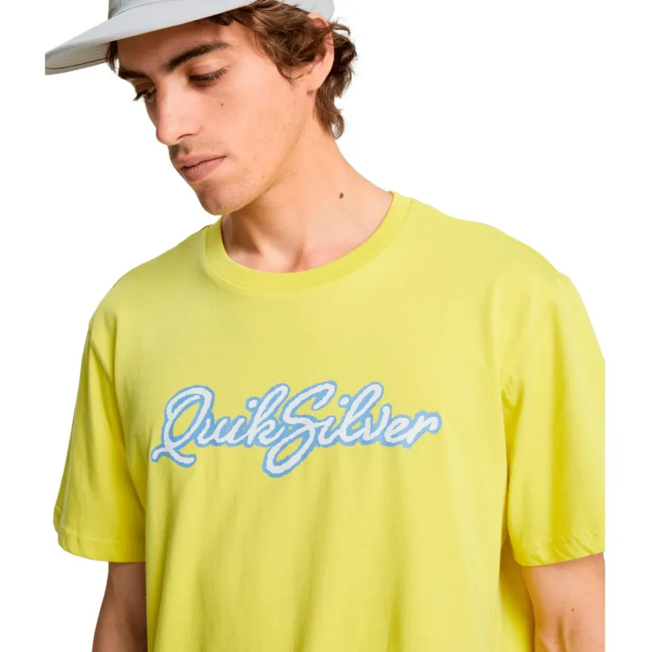 Quiksilver T-Shirts|Shirts, Hemden & Longsleeves-- Malibu S/S - T-Shirt