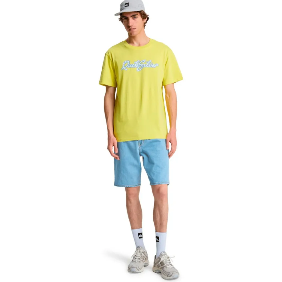 Quiksilver T-Shirts|Shirts, Hemden & Longsleeves-- Malibu S/S - T-Shirt