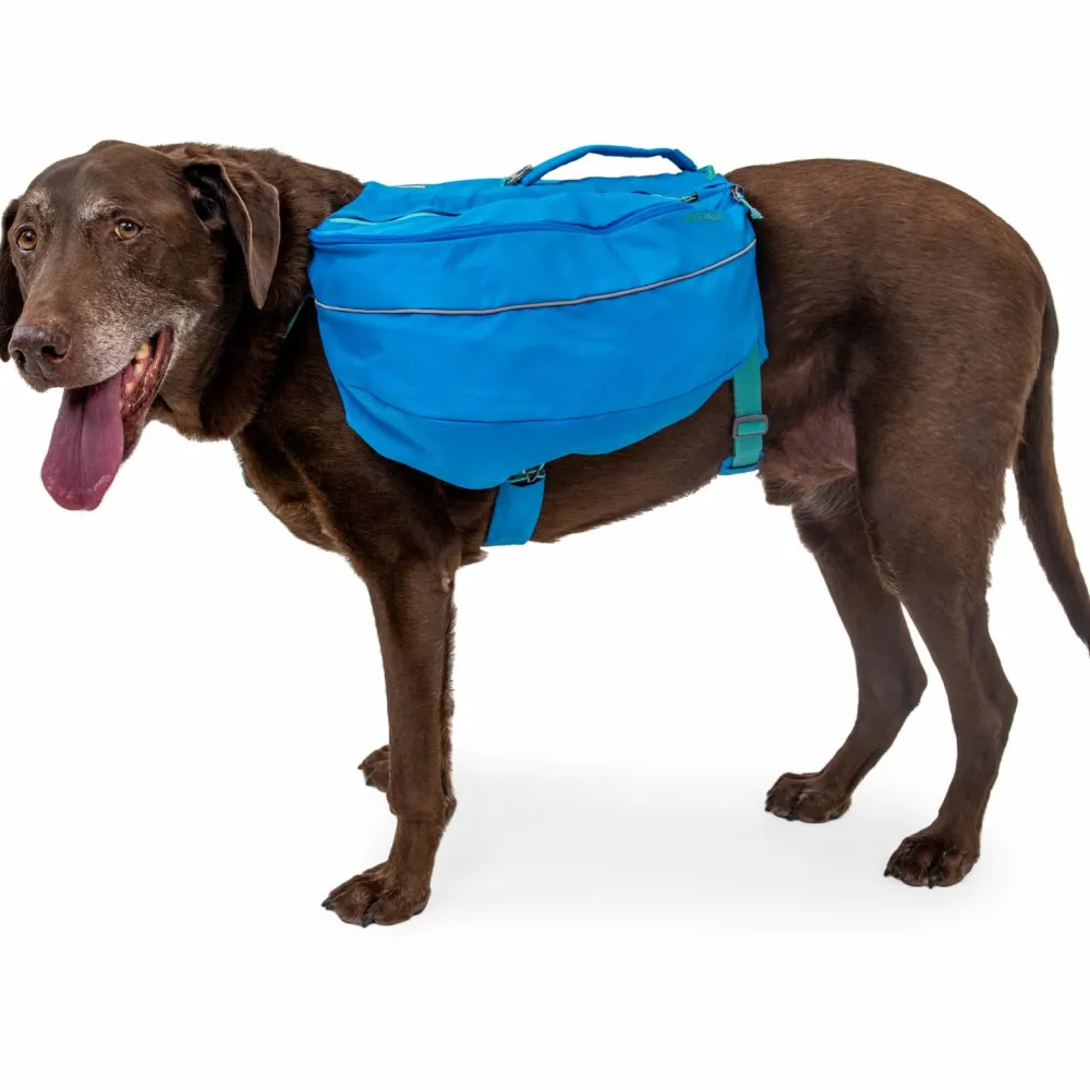 - Approach Pack - Hundegechirr < Ruffwear New