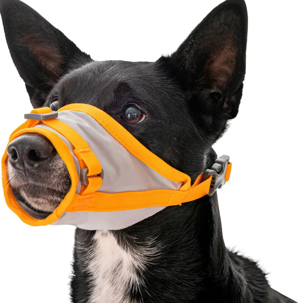 Ruffwear - BackTrak Dog Evacuation Kit - Hundezubehör Cloudburst Gray
