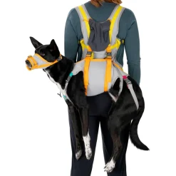 Ruffwear - BackTrak Dog Evacuation Kit - Hundezubehör Cloudburst Gray