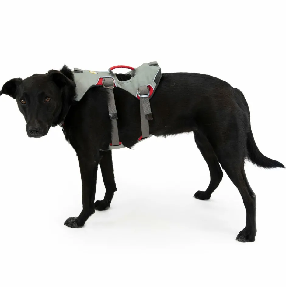 Ruffwear - Doubleback Harne - Hundegechirr