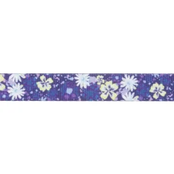 Ruffwear Hundeleinen-- Front Range Leash - Hundeleine
