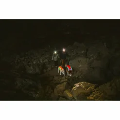 - Lumenglow Hi-Viz Jacket - Hundemantel < Ruffwear New