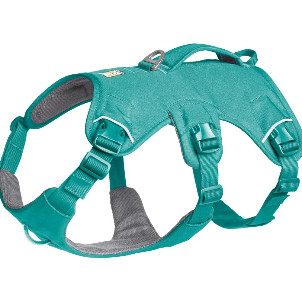 - Web ater Harne - Hundegechirr < Ruffwear Hot