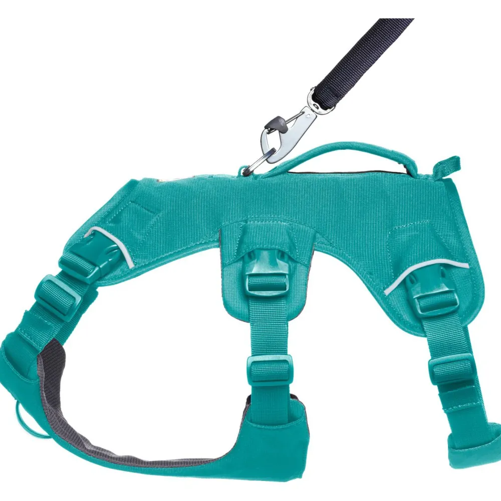 - Web ater Harne - Hundegechirr < Ruffwear Hot