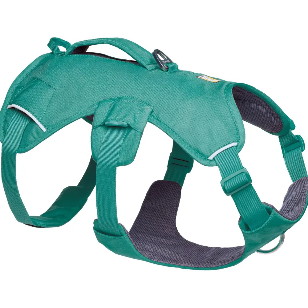 - Web ater Harne - Hundegechirr < Ruffwear Hot