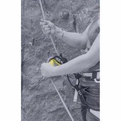 Salewa Sicherungs- & Abseilgeräte-- Ergo Belay System - Sicherungsgerät