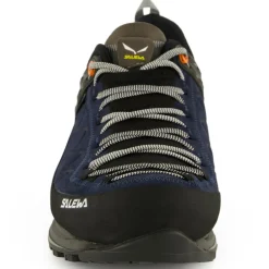 - MS Mountain Trainer 2 GTX - Multisportschuhe < Salewa Best