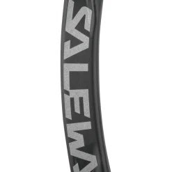 Salewa - Ortles Straight Carabiner - Schnappkarabiner Black Discount