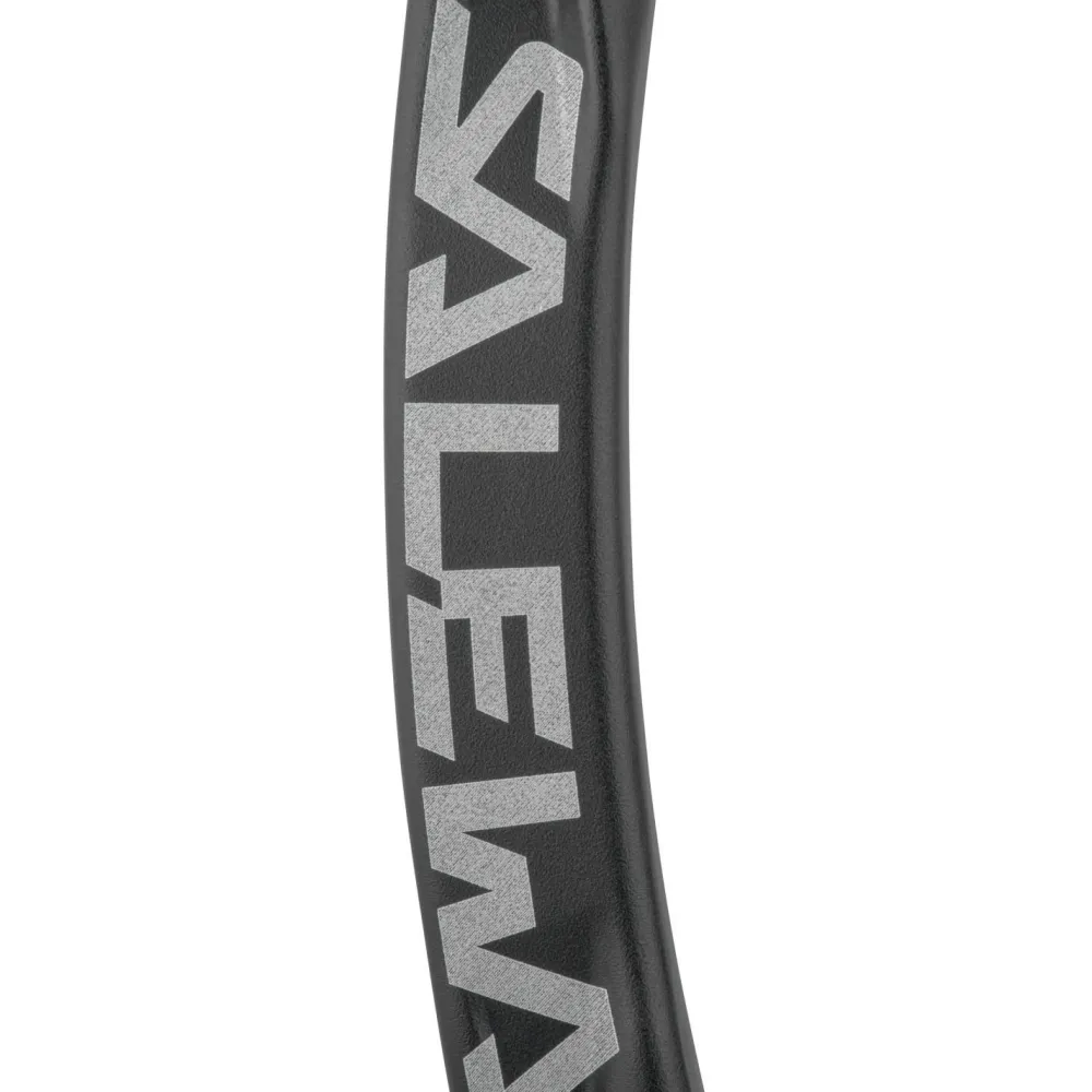 Salewa - Ortles Straight Carabiner - Schnappkarabiner Black Discount