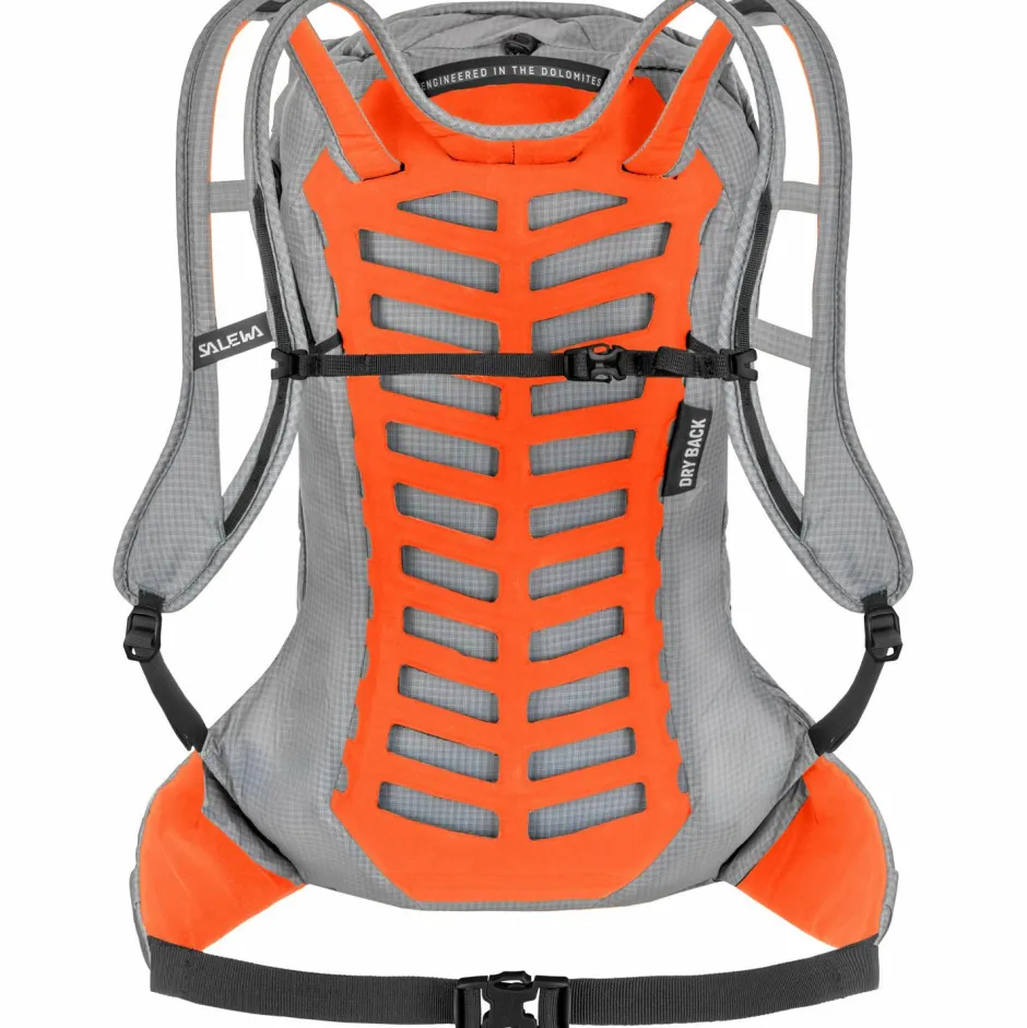 Salewa - Pedroc Pro 22 - Wanderrucksack