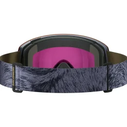 - Radium Pro Sigma Cat 3 VLT 11% + Cat 1 VLT 52% - Skibrille < Salomon Sale