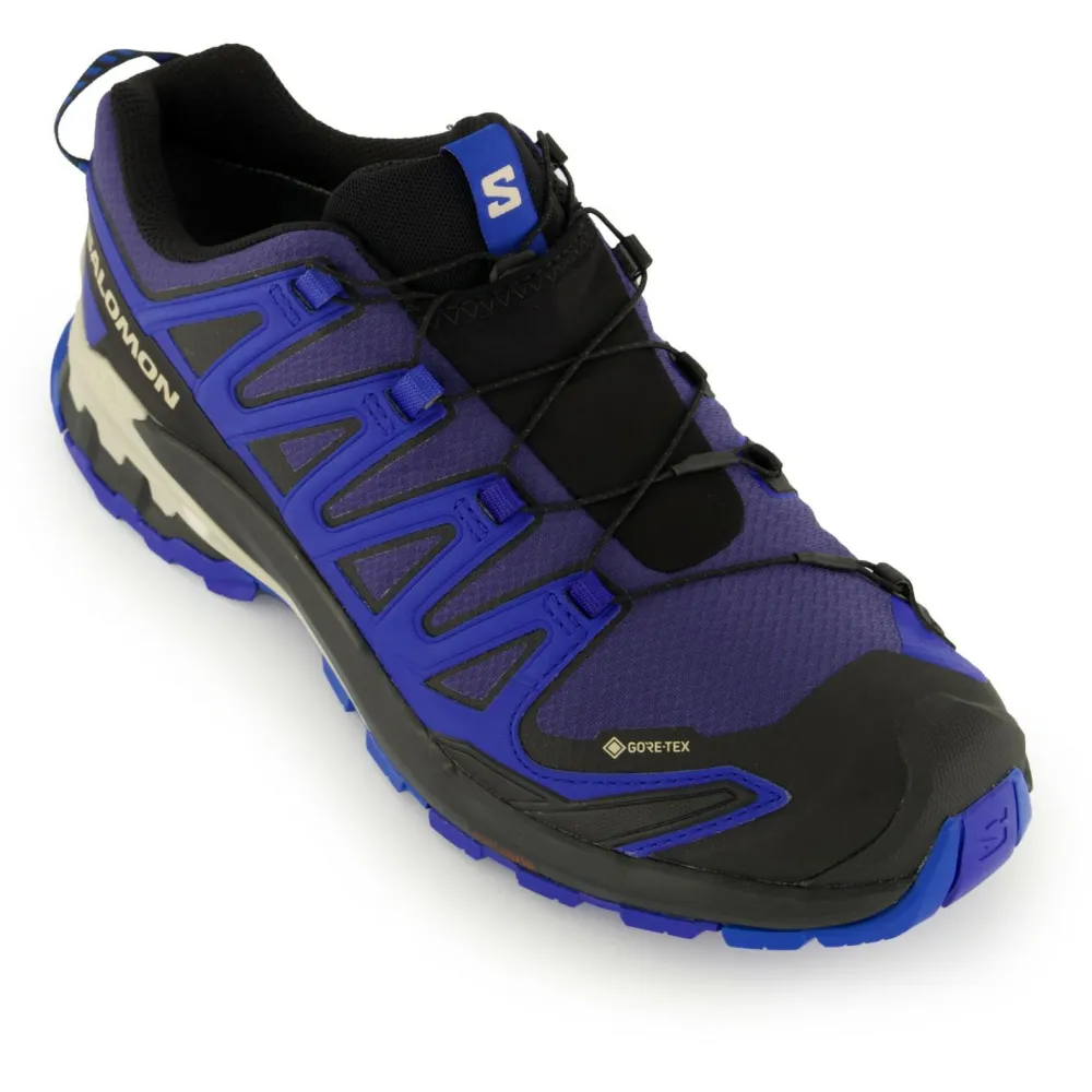 - XA Pro 3D V9 GTX - Multisportschuhe < Salomon