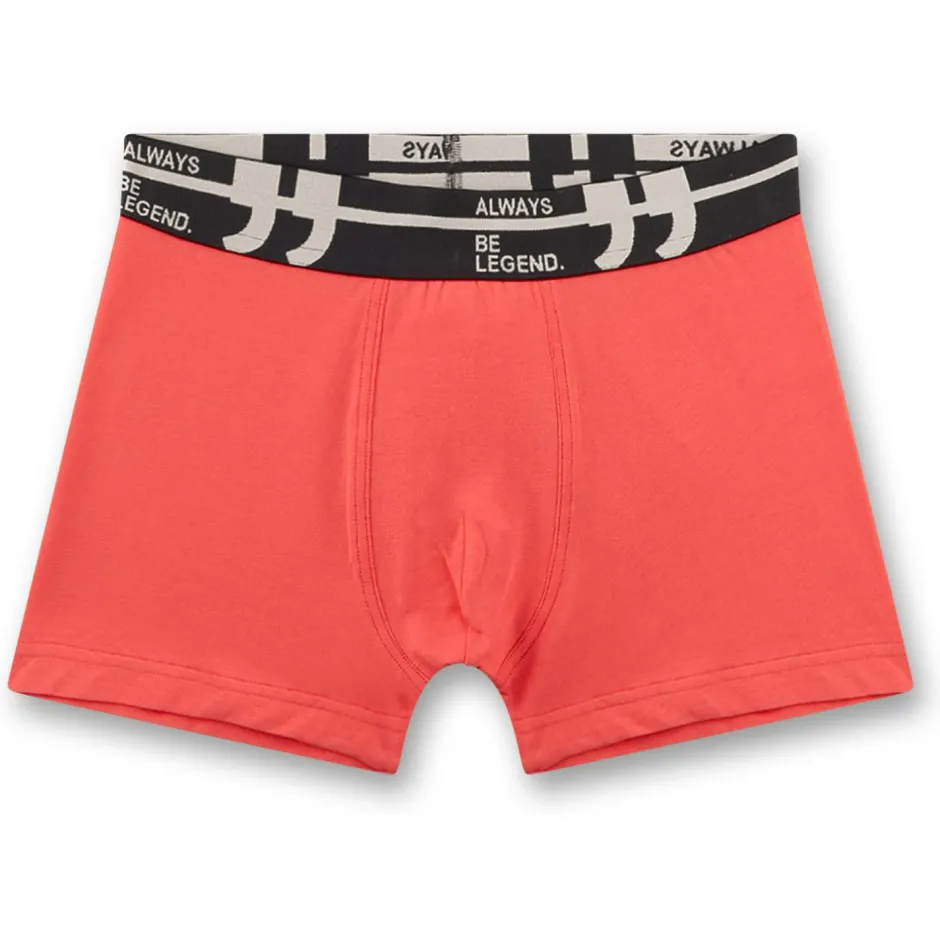 Kinder Sanetta - Kid's Set Shorts 349400 5-Pack - Unterhose