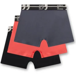Sanetta Alltagsbekleidung|Unterwäsche-- Kid's Set Shorts 349396 3-Pack - Unterhose Grisaille