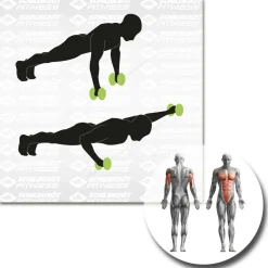 Schildkröt Fitness - Dual-Core-Wheels - Functional Training < Schildkru00f6t Fitness Best