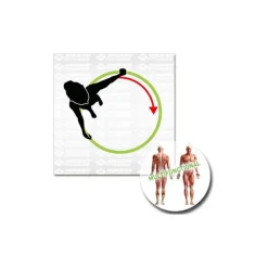 Schildkru00f6t Fitness Schildkröt Fitness - Fitness-Hoop mit Massagewellen - Functional Training