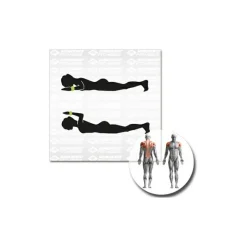 Schildkröt Fitness - Gewichtsmanschette < Schildkru00f6t Fitness Online