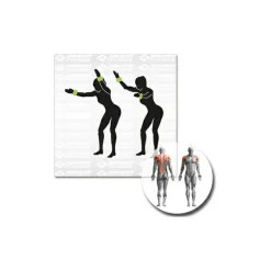 Schildkröt Fitness - Gewichtsmanschette < Schildkru00f6t Fitness Online