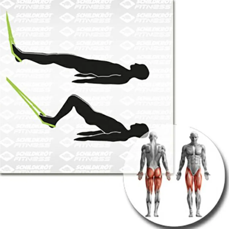 Schildkru00f6t Fitness Schildkröt Fitness - Schlingentrainer / Suspension-Trainer - Schlingentrainer
