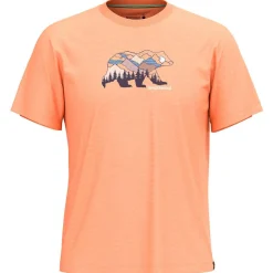 Smartwool Wanderbekleidung|T-Shirts-- Bear View Graphic Tee - Merinoshirt
