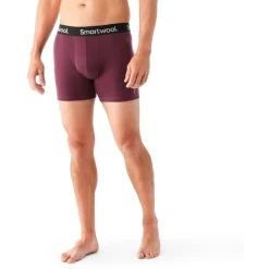 - Everyday erino Boxer Brief Boxed - erinounterwäche < Smartwool Hot