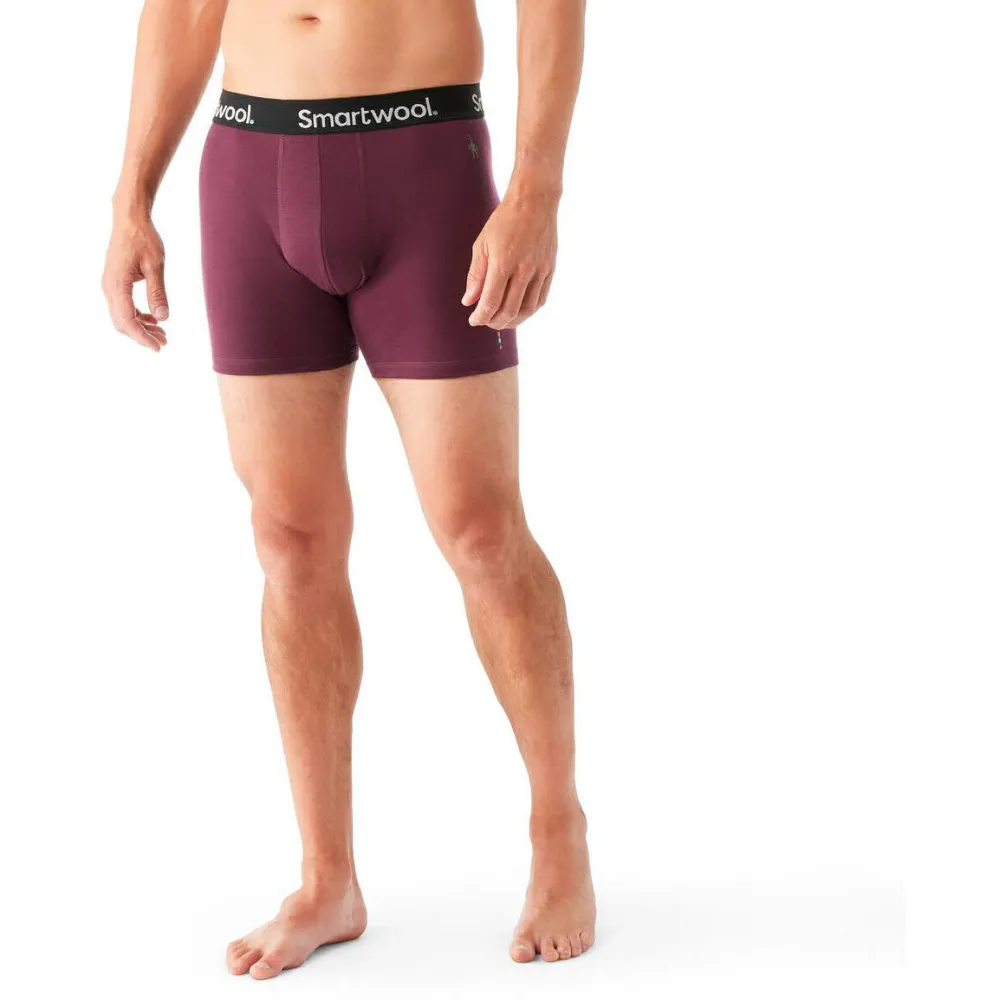 - Everyday erino Boxer Brief Boxed - erinounterwäche < Smartwool Hot