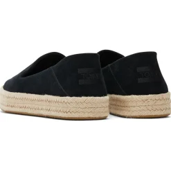 TOMS Sneaker-- Women's Carolina - Sneaker