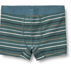 WHEAT Unterwäsche|Alltagsbekleidung-- Boy's Lui - Alltagsunterwäsche Blue Multi Stripe