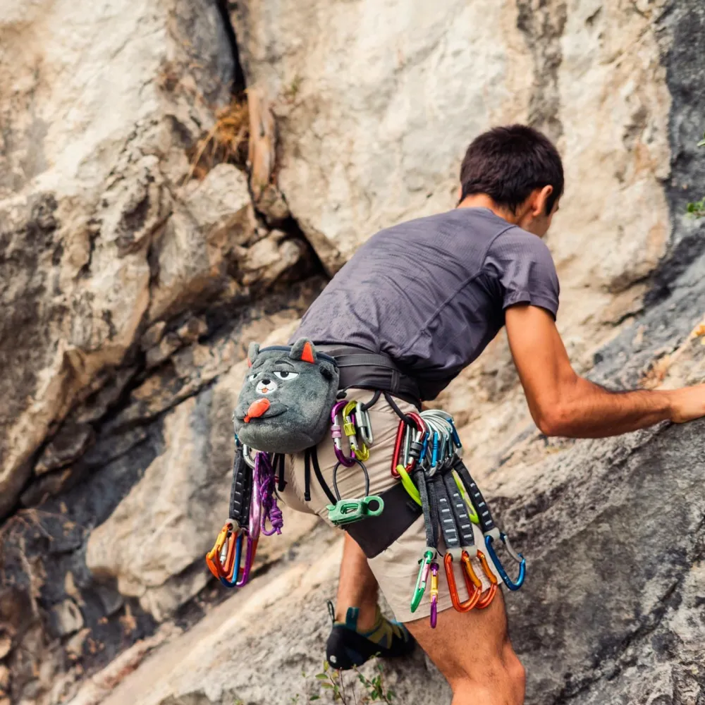 - Chalk Bag Cat - Chalkbag < YY Vertical New